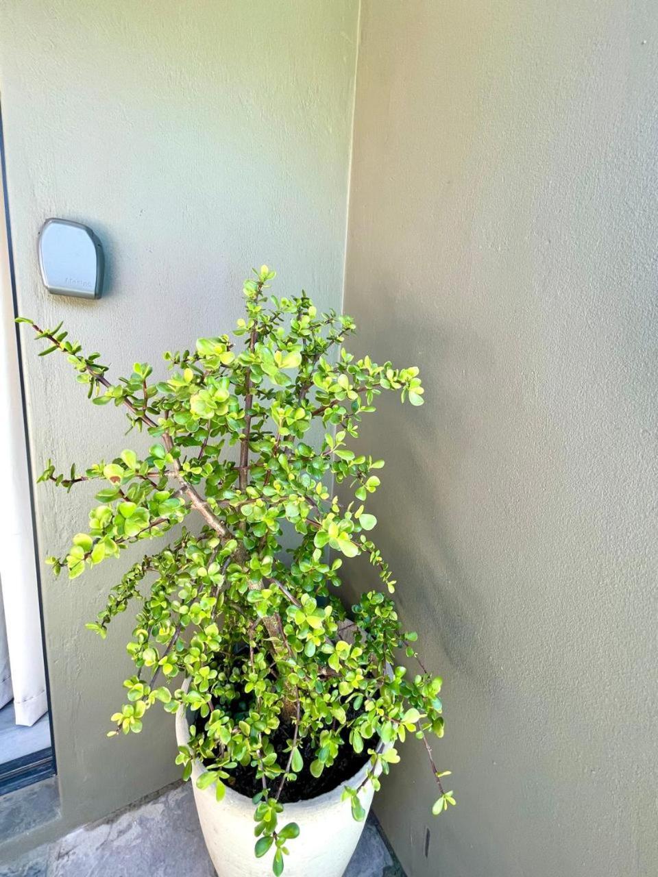 Tehillah On Boom Apartment Bothasig Luaran gambar